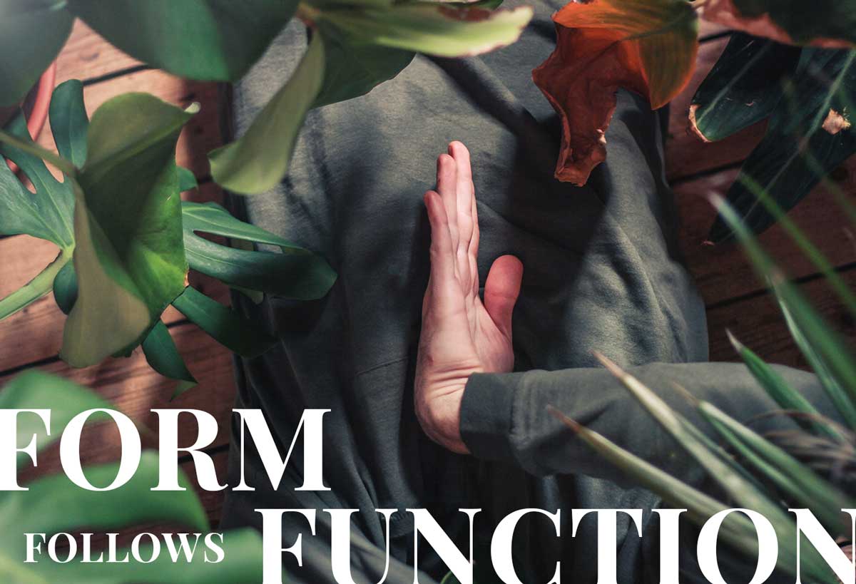 Form follows function